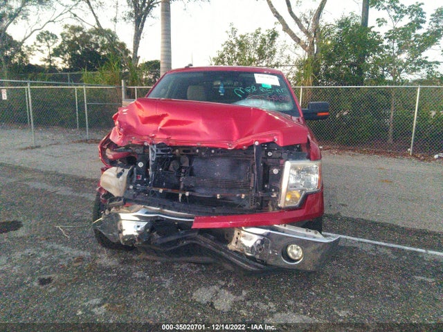2010 FORD F-150 XL/XLT VIN: 1FTFW1CV6AFD86542