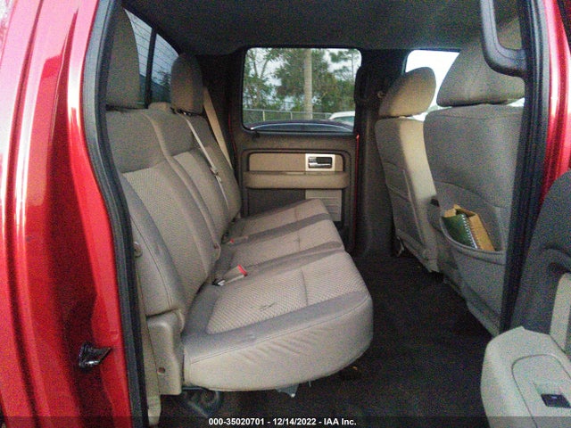 2010 FORD F-150 XL/XLT VIN: 1FTFW1CV6AFD86542