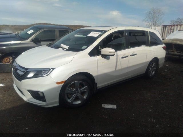 Honda Odyssey Ex-l 2020 5FNRL6H7XLB045200 Image 2