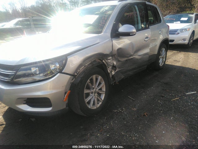 WVGBV7AX6HK043719 Volkswagen TIGUAN