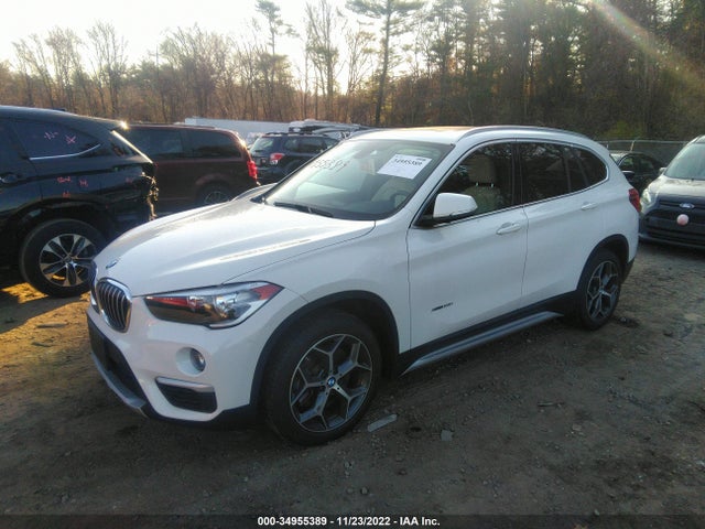 2018 BMW X1, VIN: WBXHT3C30J5L24977