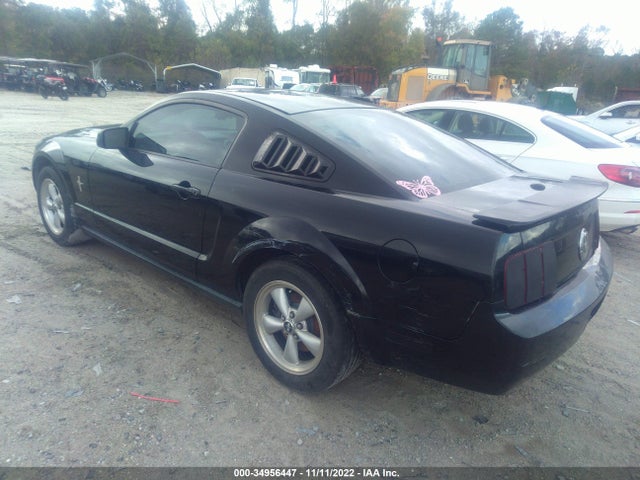 2008 FORD MUSTANG DELUXE/PREMIUM VIN: 1ZVHT80N285104697