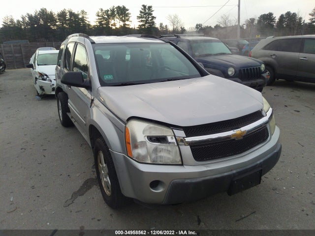 2006 CHEVROLET EQUINOX LS VIN: 2CNDL23F166178872
