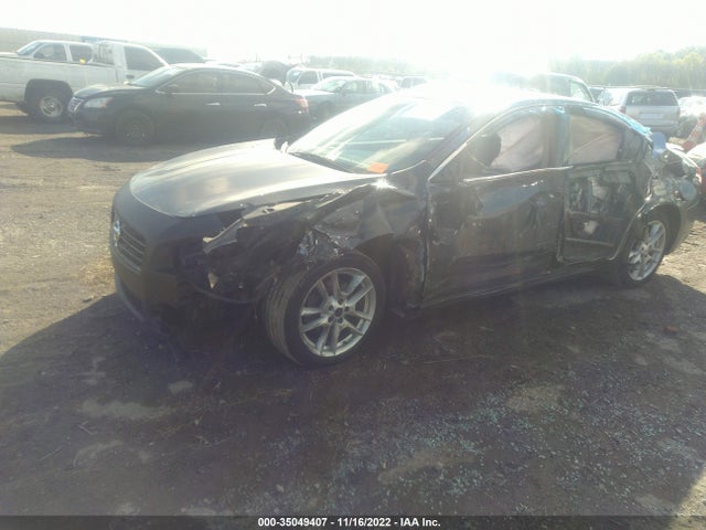 2010 NISSAN MAXIMA 3.5 SV W/PREMIUM PKG VIN: 1N4AA5AP2AC850678