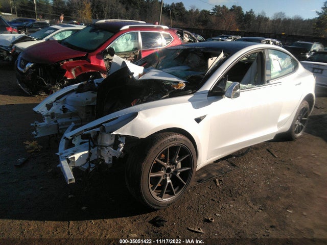 Tesla MODEL 3 2021 5YJ3E1EA8MF991641 Image 2