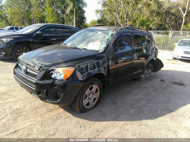 2011 TOYOTA RAV4 VIN: 2T3ZF4DV0BW081891