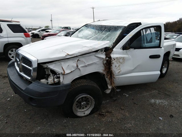 Dodge DAKOTA ST 2007 1D7HE22K57S179994 Image 2