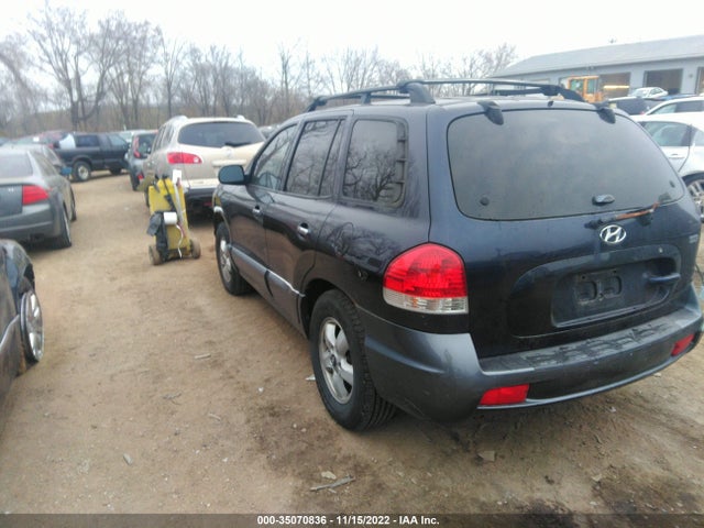 2005 HYUNDAI SANTA FE GLS/LX VIN: KM8SC13E45U987937