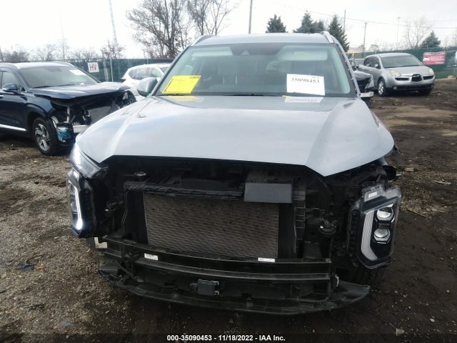 2020 Hyundai Palisade, VIN: KM8R4DHE1LU129442