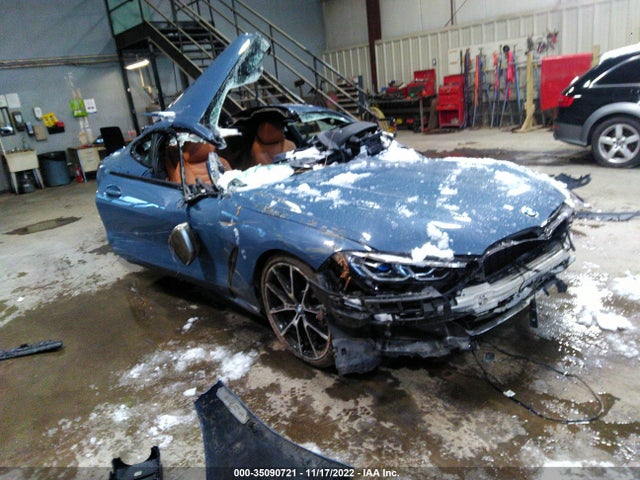 2019 BMW 8 Series, VIN: WBABC4C55KBU95864