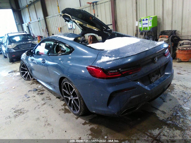 2019 BMW 8 Series, VIN: WBABC4C55KBU95864