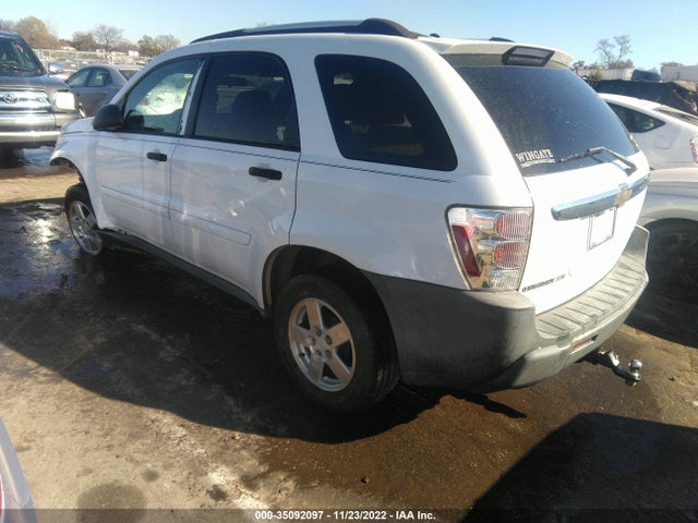 2005 CHEVROLET EQUINOX LS VIN: 2CNDL23F756038520