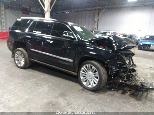 2017 Cadillac Escalade, VIN: 1GYS4DKJ2HR318715