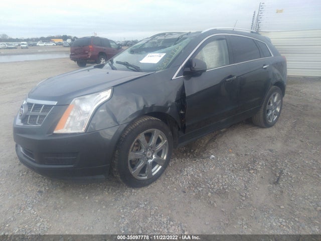 2011 CADILLAC SRX PREMIUM COLLECTION VIN: 3GYFNCEY6BS505834