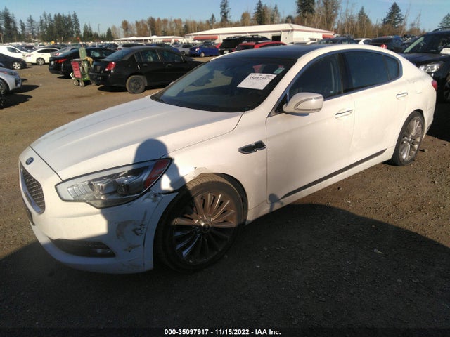 2015 Kia K900, VIN: KNALW4D45F6021204