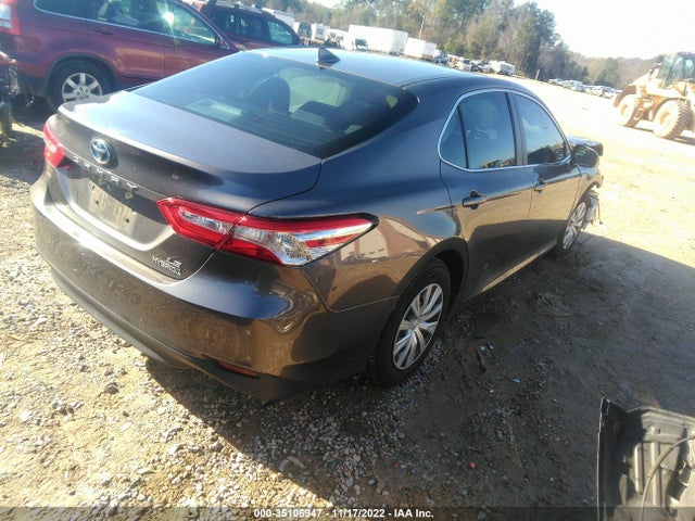 2019 Toyota Camry, VIN: 4T1B31HKXKU512240