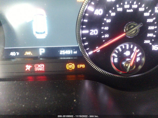 2022 Kia Telluride, VIN: 5XYP5DHCXNG213612