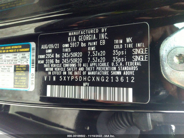 2022 Kia Telluride, VIN: 5XYP5DHCXNG213612