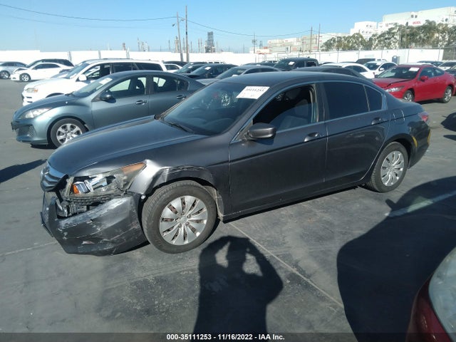 2011 HONDA ACCORD SDN LX VIN: 1HGCP2F31BA042259