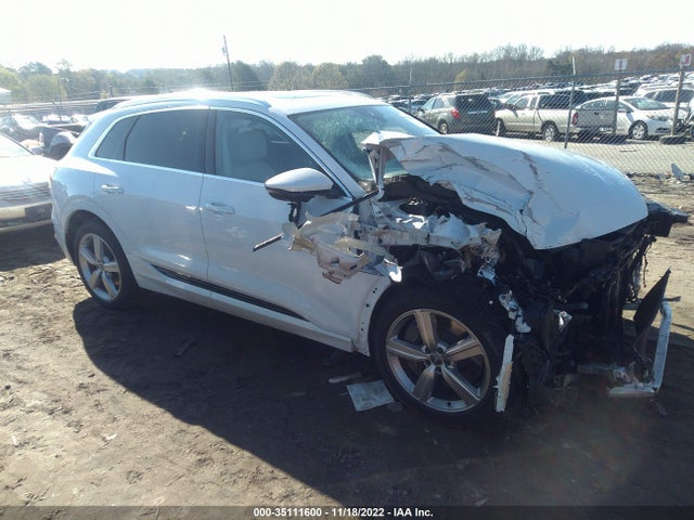 2019 Audi e-tron, VIN: WA1LAAGE9KB022324