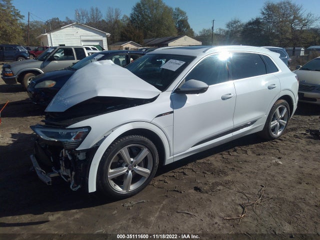 2019 Audi e-tron, VIN: WA1LAAGE9KB022324