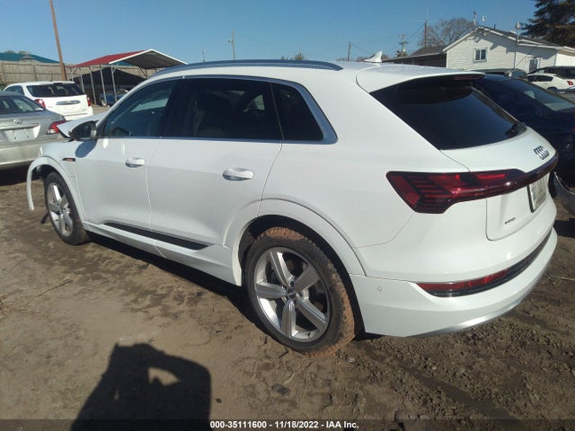 2019 Audi e-tron, VIN: WA1LAAGE9KB022324