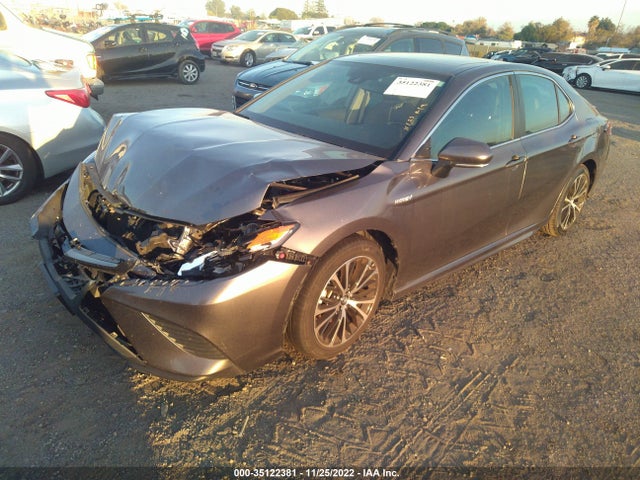 2019 Toyota Camry, VIN: 4T1B21HK4KU515380