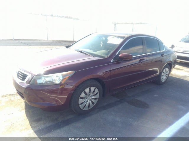 2010 HONDA ACCORD SDN LX VIN: 1HGCP2F38AA175373
