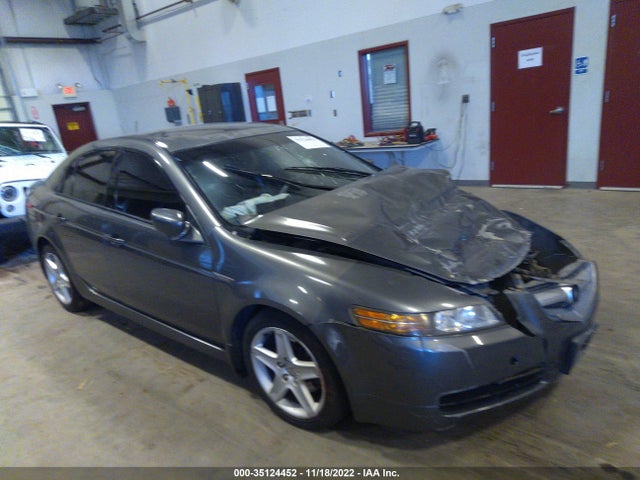 Acura TL 2004 19UUA66254A073280 Image 1