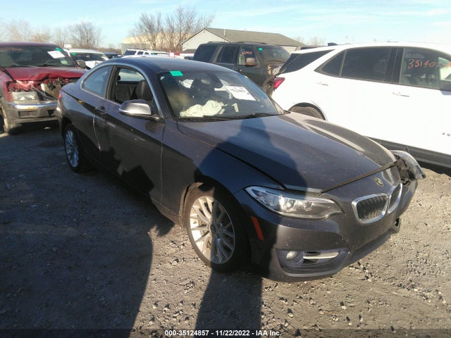 2016 BMW 2 Series, VIN: WBA1F9C5XGV545518