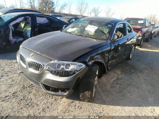2016 BMW 2 Series, VIN: WBA1F9C5XGV545518
