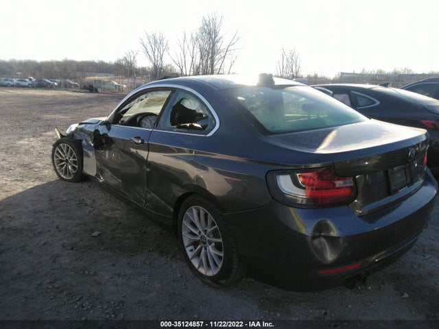 2016 BMW 2 Series, VIN: WBA1F9C5XGV545518