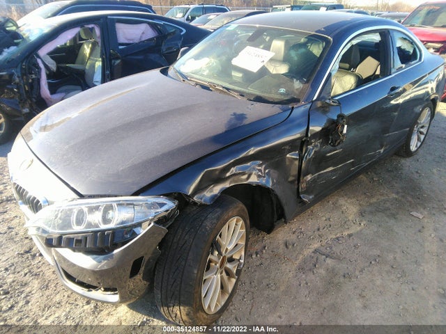 2016 BMW 2 Series, VIN: WBA1F9C5XGV545518
