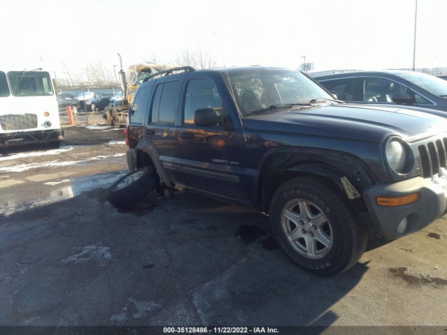 2003 JEEP LIBERTY SPORT VIN: 1J4GL48K03W675152