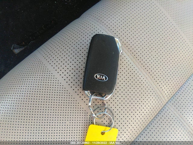 2020 Kia Telluride, VIN: 5XYP5DHC8LG049869