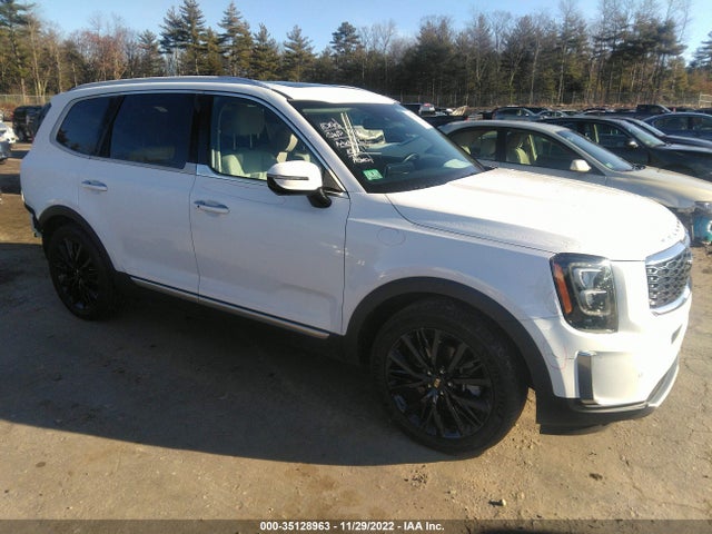 2020 Kia Telluride, VIN: 5XYP5DHC8LG049869