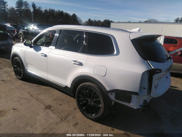 2020 Kia Telluride, VIN: 5XYP5DHC8LG049869