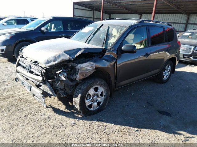2010 TOYOTA RAV4 VIN: JTMBF4DV5AD033848