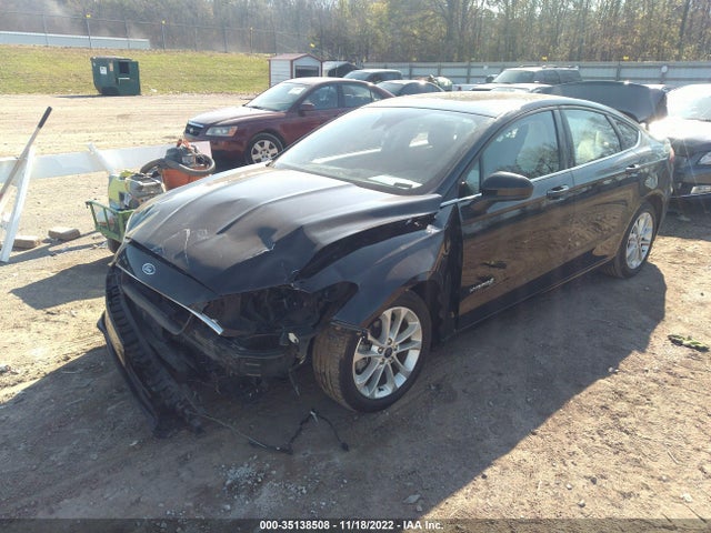 2019 FORD FUSION HYBRID SE VIN: 3FA6P0LU8KR167462