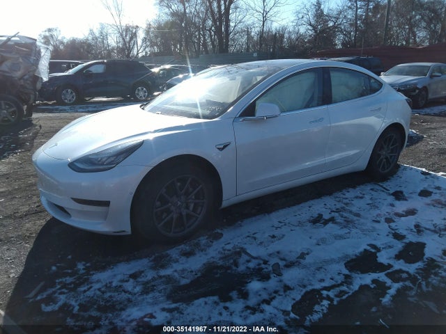 Tesla MODEL 3 2020 5YJ3E1EA5LF785448 Image 2