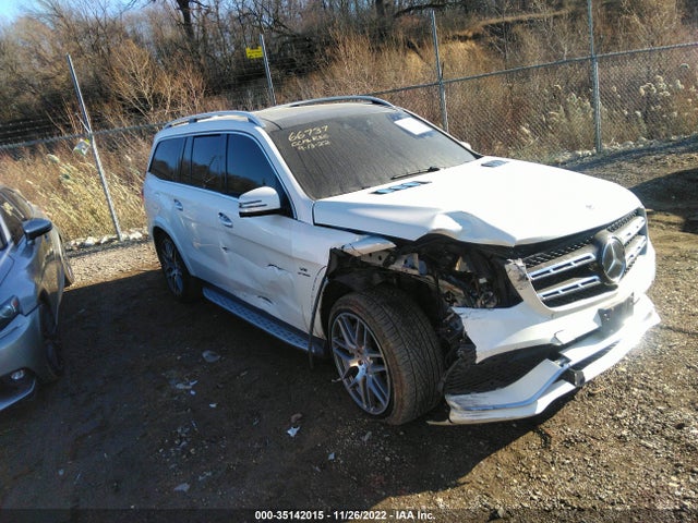 2019 Mercedes-Benz GLS-Class, VIN: 4JGDF7FE1KB224599