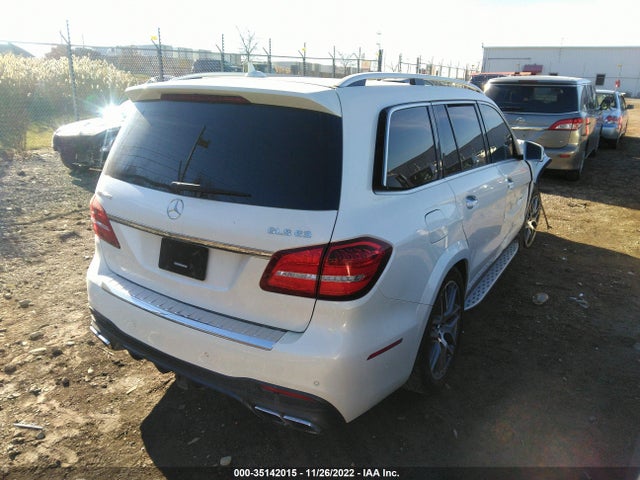 2019 Mercedes-Benz GLS-Class, VIN: 4JGDF7FE1KB224599