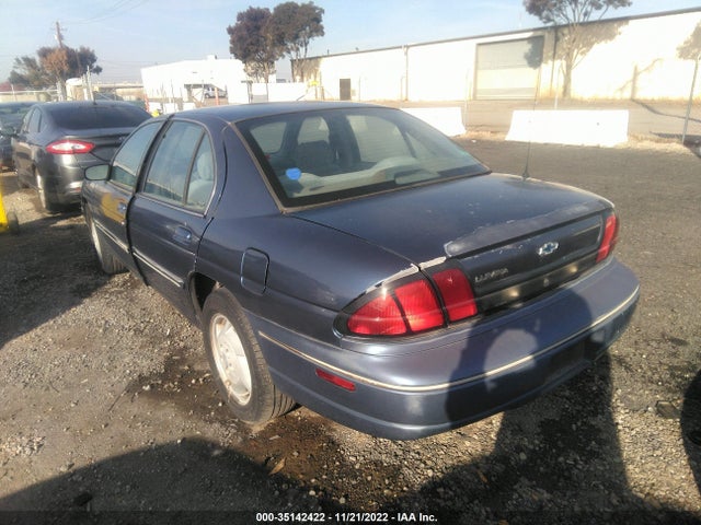 1996 CHEVROLET LUMINA VIN: 2G1WL52M5T1113331