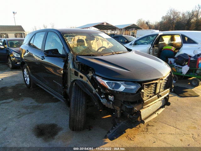 Chevrolet EQUINOX LS 2020 2GNAXHEVXL6271184 Image 1