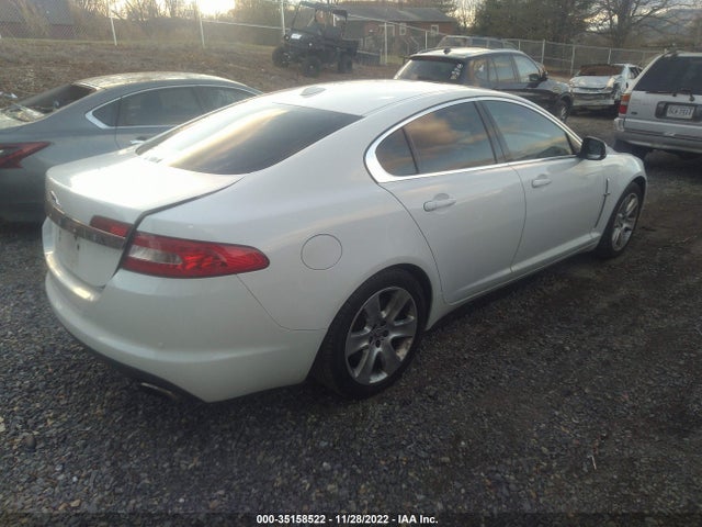 SAJWA0FB9BLR81691 Jaguar XF