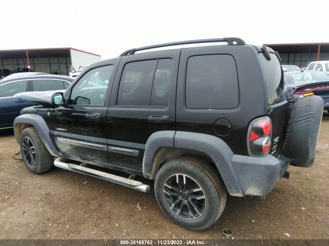 2004 JEEP LIBERTY SPORT VIN: 1J4GL48K64W184294