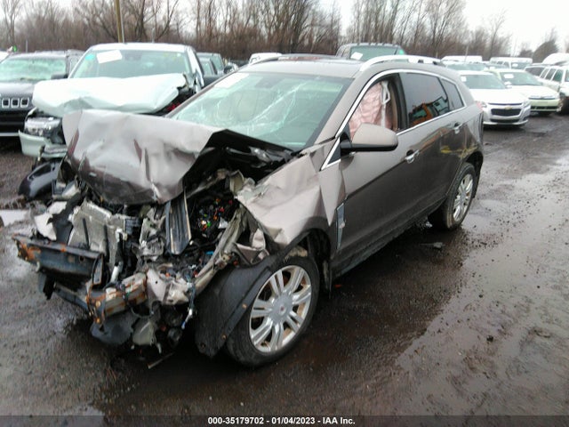 2012 CADILLAC SRX LUXURY COLLECTION VIN: 3GYFNDE39CS584444