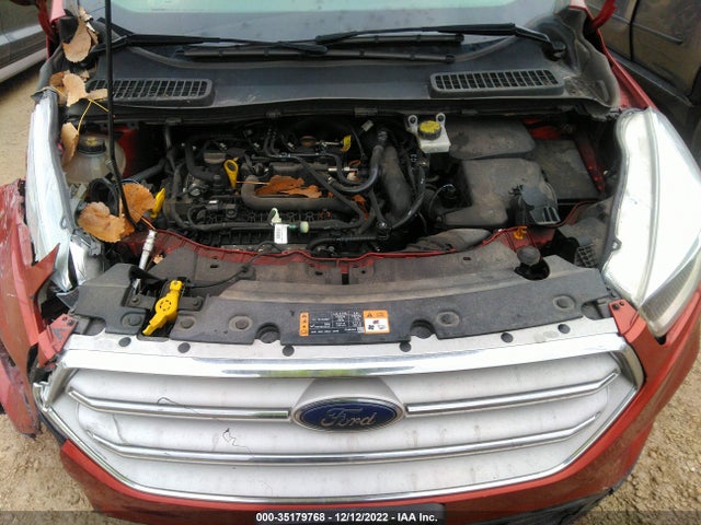 2019 Ford Escape, VIN: 1FMCU0GD8KUB07833