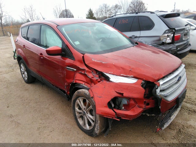 2019 Ford Escape, VIN: 1FMCU0GD8KUB07833