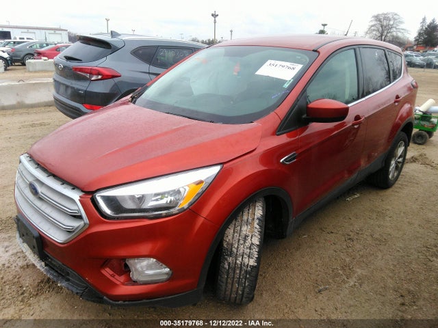 2019 Ford Escape, VIN: 1FMCU0GD8KUB07833